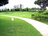 ph_inst10-07_golf