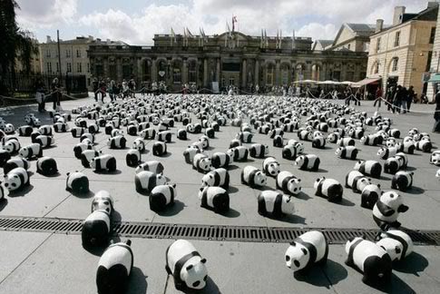 1600pandas_wwf5