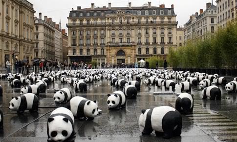 1600pandas_wwf