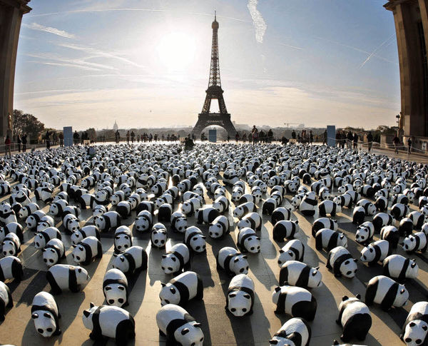 WWFpandas_paris