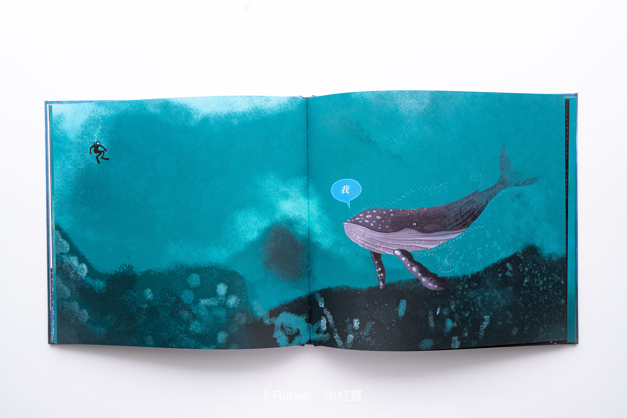 《世界上最孤独的鲸鱼》赫兹52 – rubee 亲子共读